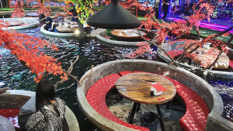 チェンマイの鯉がたくさんいるカープカフェ