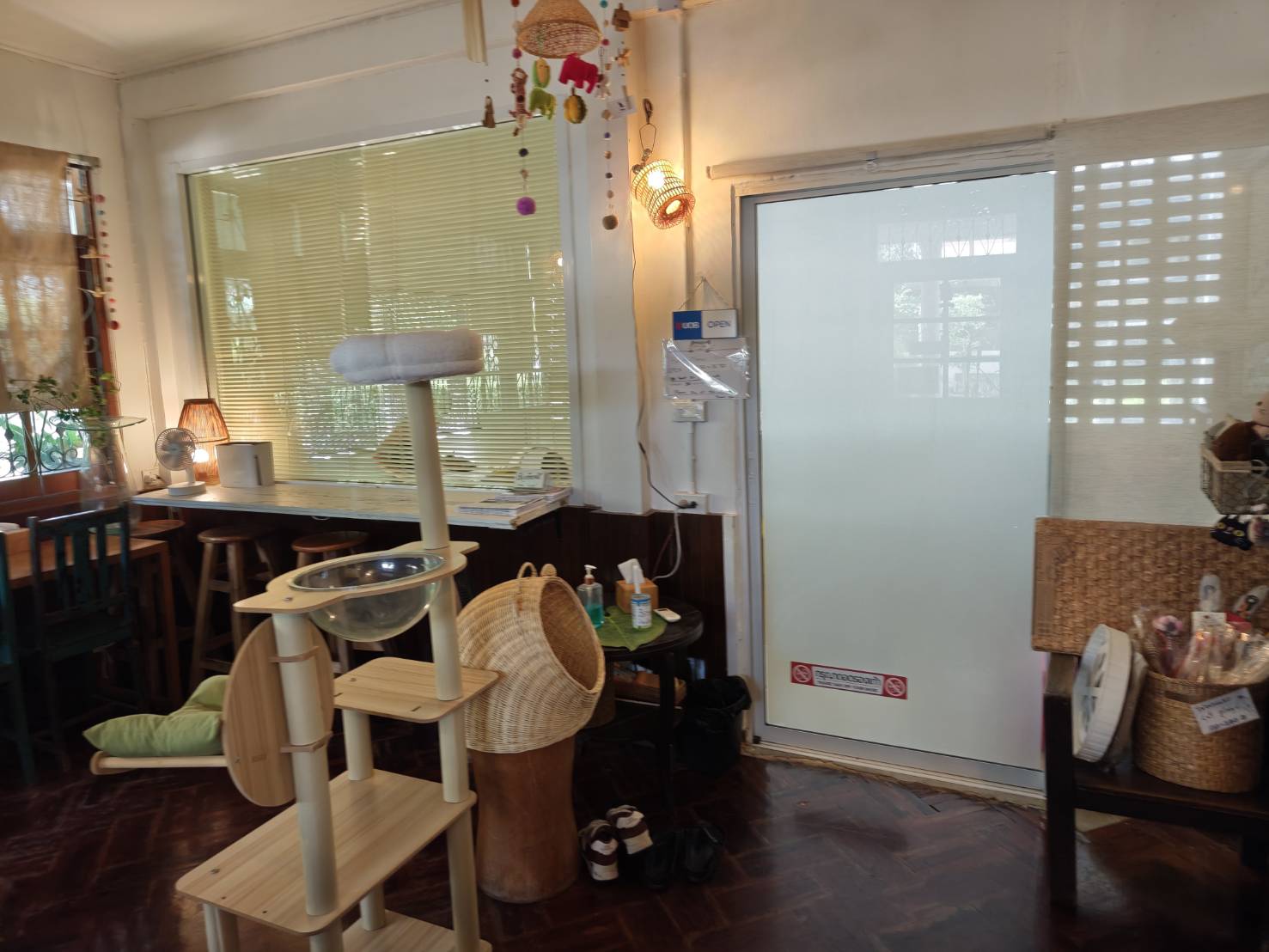 エカマイのチコキャットカフェの猫部屋