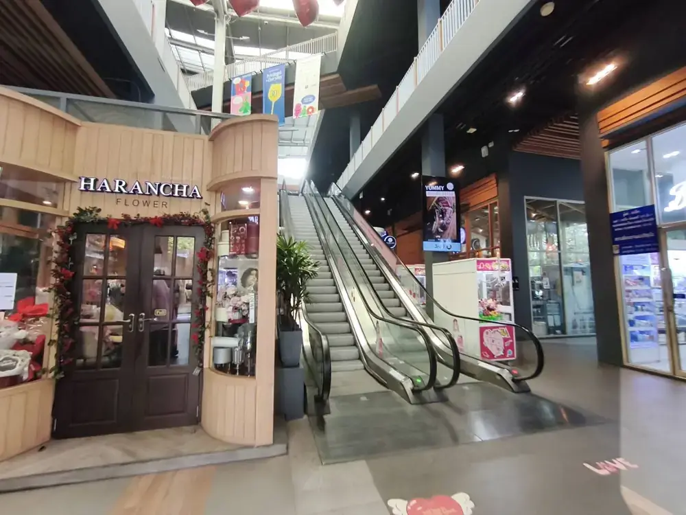 Habitoモールのテナント