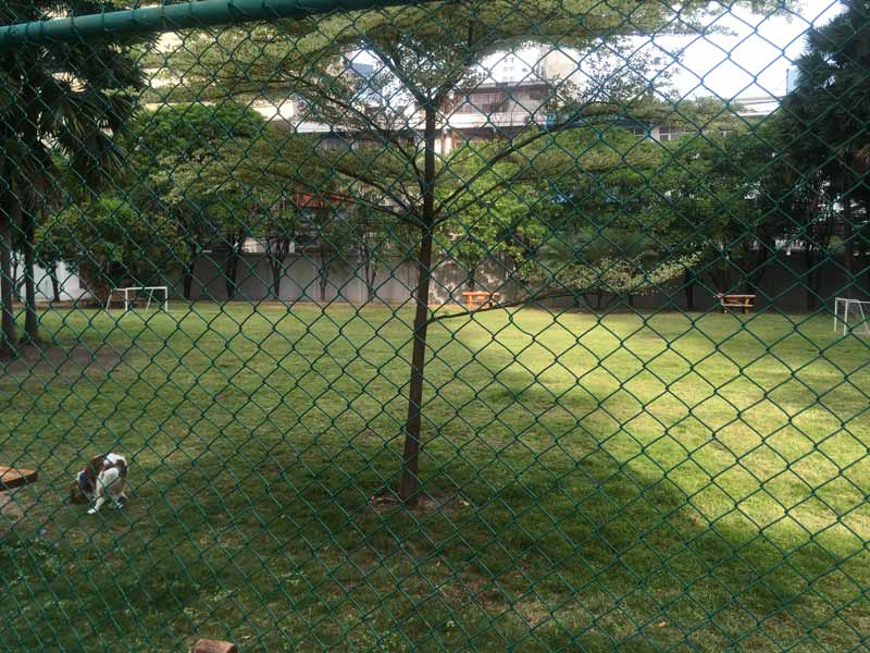 プラサーンミット タニー タワーのテニスコート