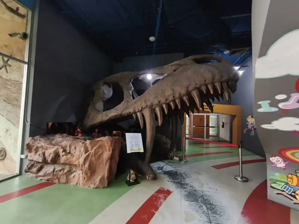 恐竜発掘コーナー