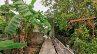 バーンカチャオの大自然