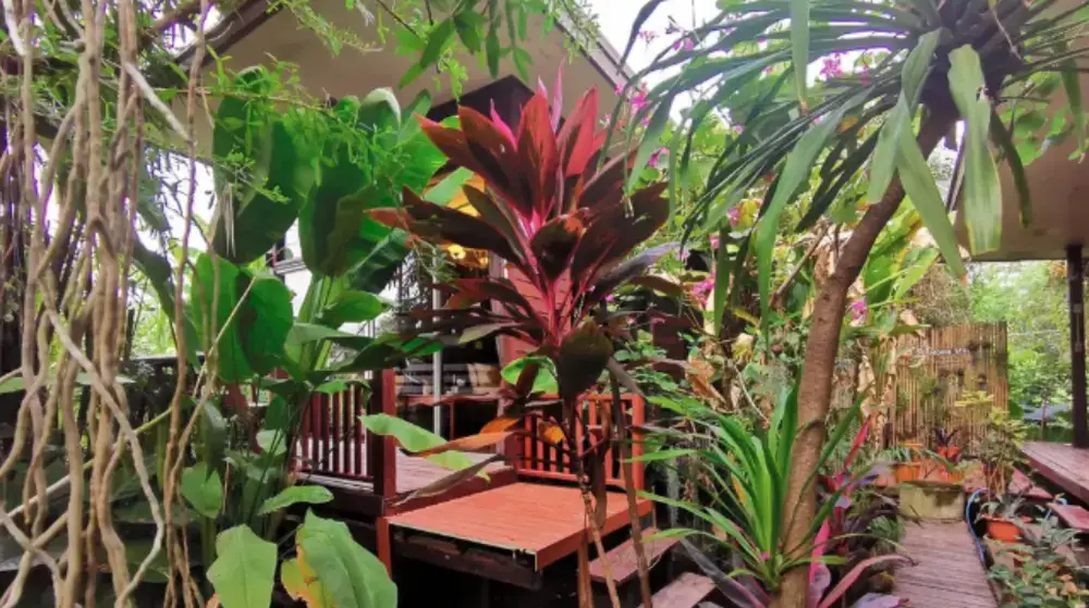 バーンカチャオのホテル88 ホームステイ