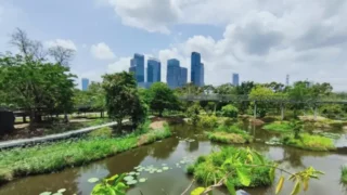 ベンジャキティ公園の完全ガイド！都会のオアシスで絶景散歩