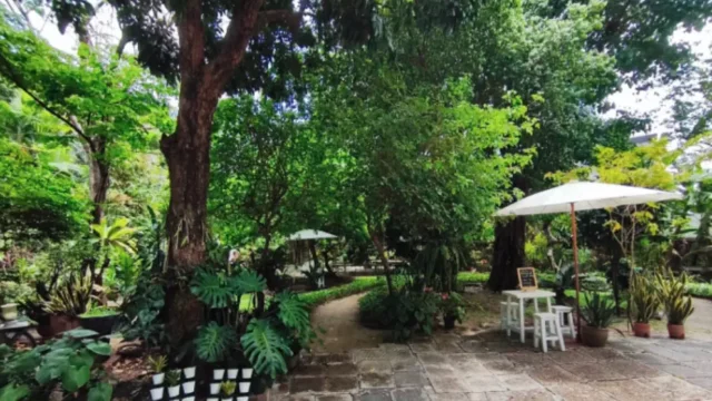 アソークのNina Pocket Park 自然がいっぱいのカフェ