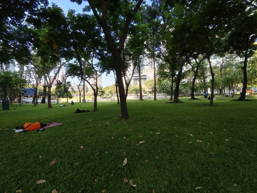 ベンチャシリ公園の芝生エリア