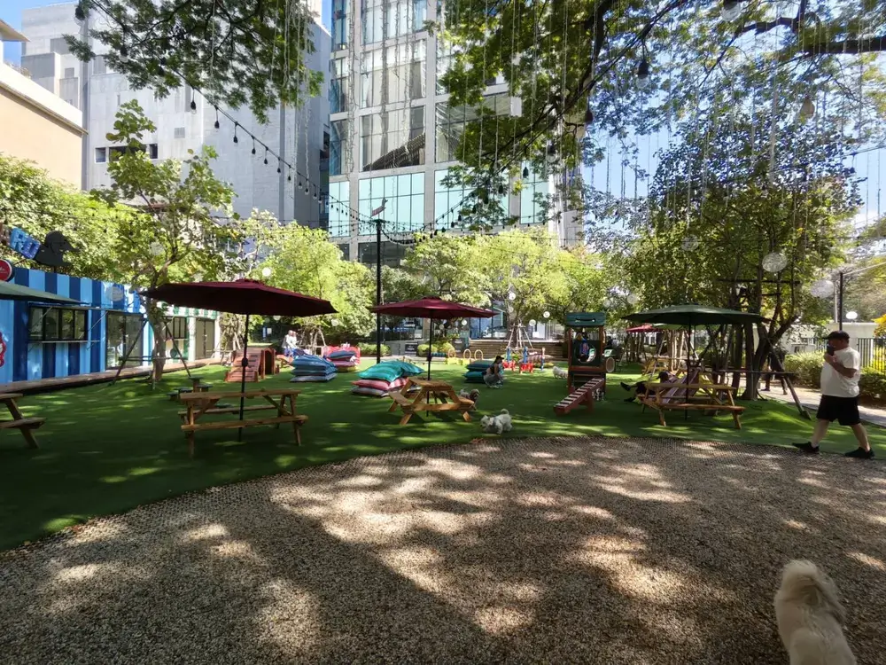 ベンチャシリ公園のドッグラン