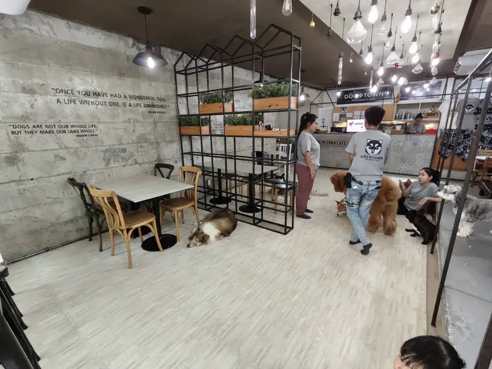 エカマイのドッグカフェDog in Town Ekkamaiの内観