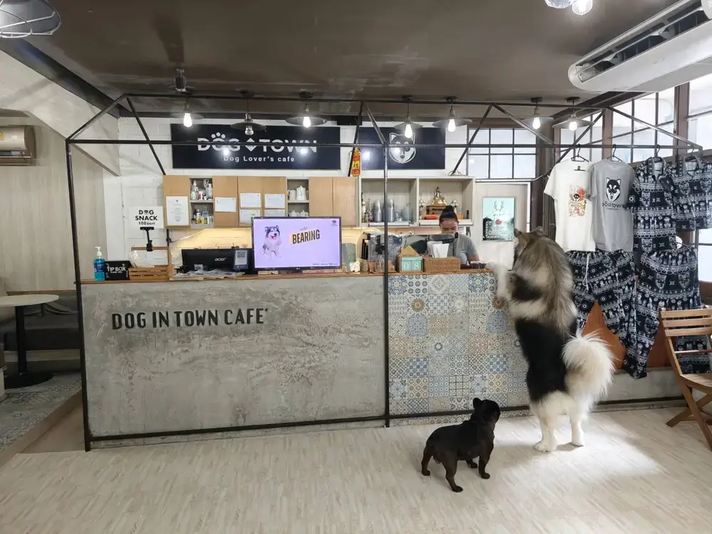 エカマイのドッグカフェDog in Town Ekkamaiの受付