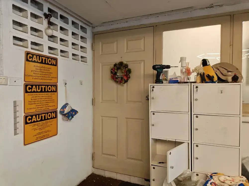 バンコク・エカマイのHappy Bird's Day の店内