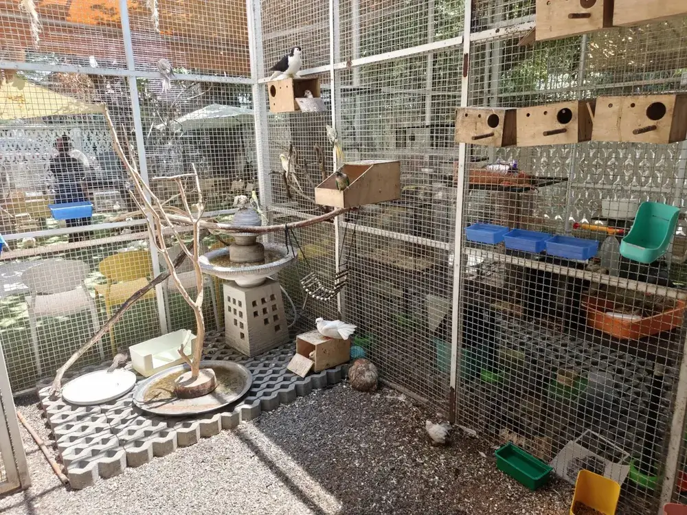 バンコク・エカマイのHappy Bird's Day 鳥かご