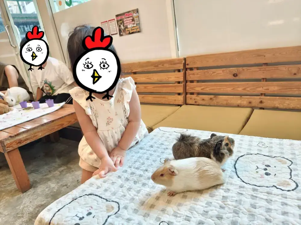 プナウィティのラビットカフェ