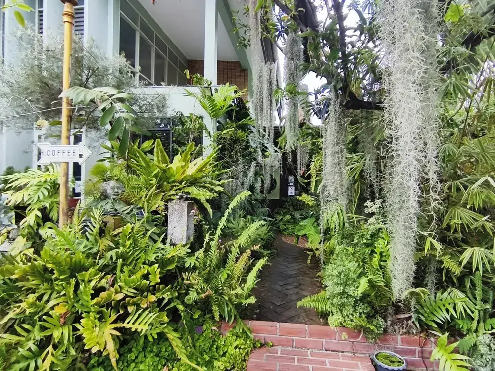 エカマイの隠れ家スペシャリティカフェ「Coffeas」の入口