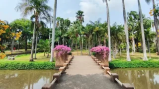 トンブリーロム公園