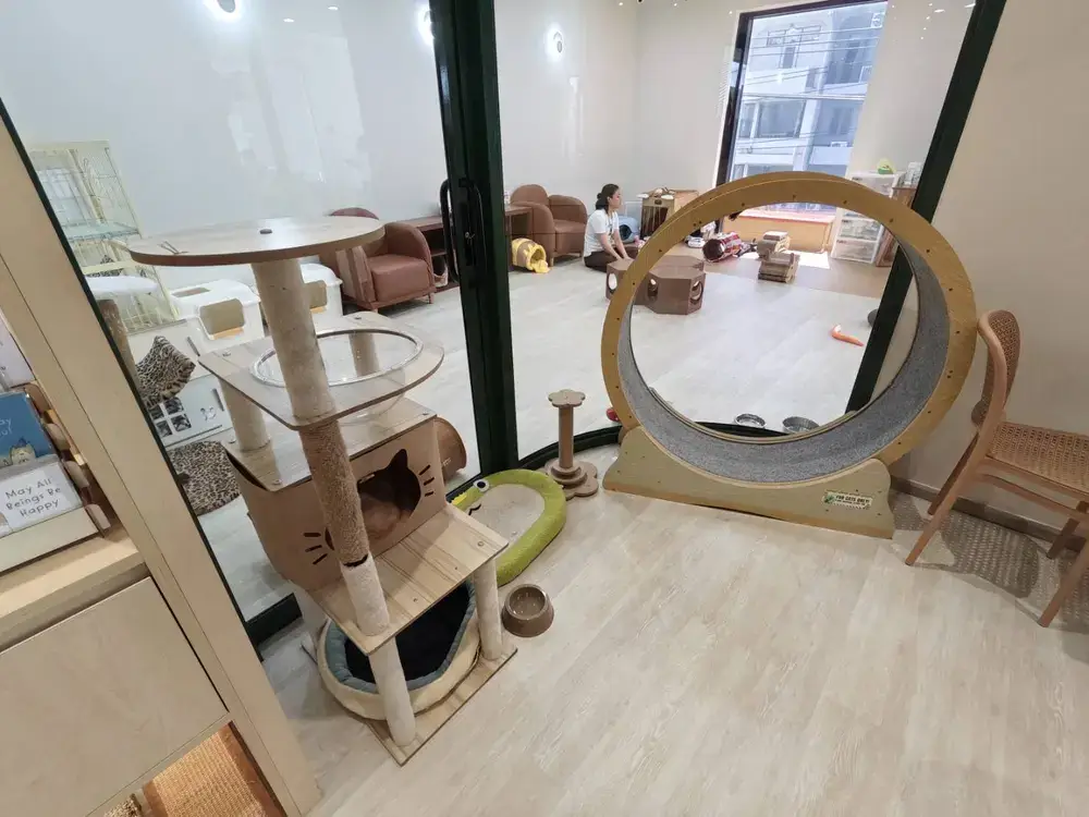 猫のおもちゃ