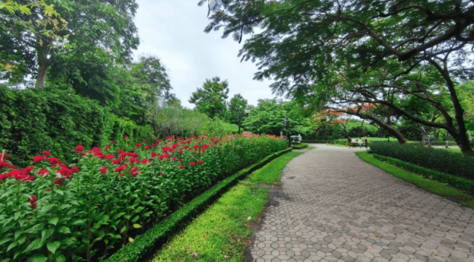 チャトチャック市場周辺の子連れ半日モデルコース｜市場・オートーコー・公園・子供博物館を回る
