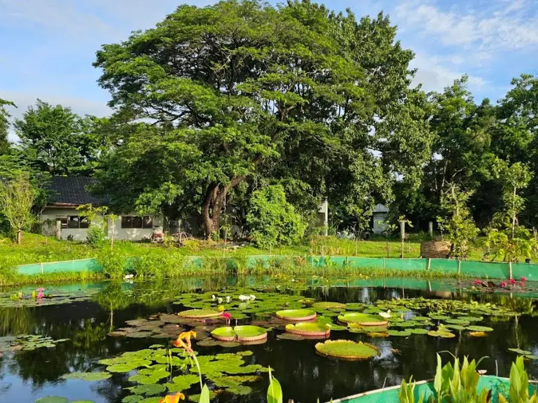 シリキット王妃公園