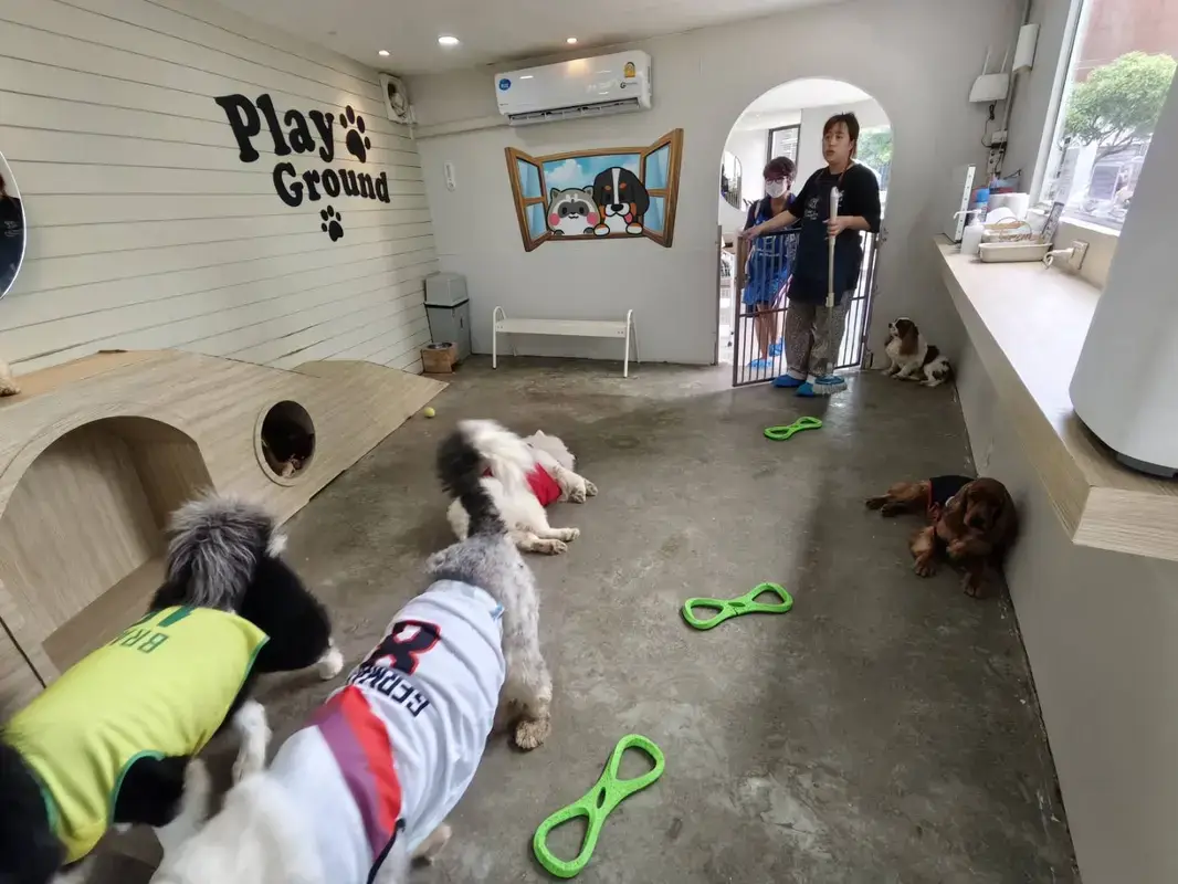 Paw Country Cafeの1階で犬とふれあえるスペース