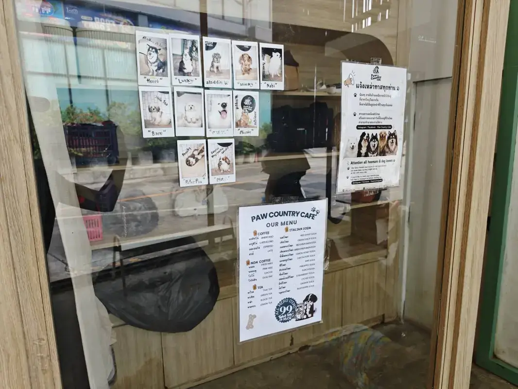 Paw Country Cafeで会える犬や猫の紹介ボード