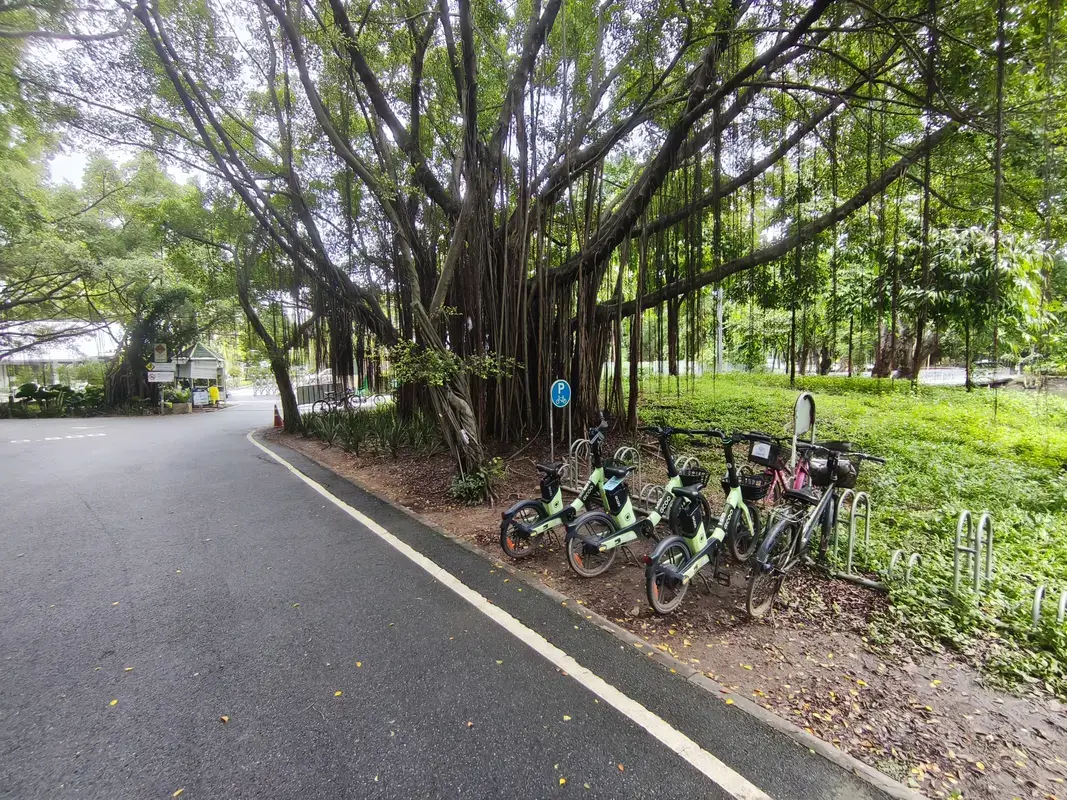 ワチラベンチャタート公園のレンタル自転車スポット