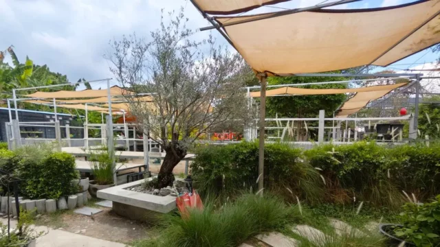 バンコクの隠れ家「Turtle Rabbit Cafe」多彩な動物と触れ合える癒やし空間